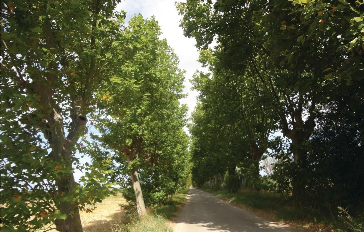 2 Bedroom Amazing Home In Narbonne Buitenkant foto